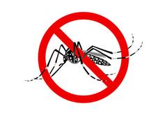 Dangue : ਕੀ ਡੇਂਗੂ ਦਾ ਮਰੀਜ਼ ਵੀ ਫੈਲਾ ਸਕਦਾ ਹੈ ਇਹ ਬਿਮਾਰੀ? ਜਾਣੋ ਸਿਹਤ ਮਾਹਿਰ ਤੋਂ