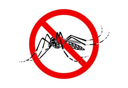 ਡੇਂਗੂ ਨਾਲ ਸੰਕਰਮਿਤ ਮਰੀਜ਼ ਨੂੰ ਅਚਾਨਕ ਤੇਜ਼ ਬੁਖਾਰ ਹੋ ਜਾਂਦਾ ਹੈ। ਉਨ੍ਹਾਂ ਦੇ ਸਰੀਰ ਅਤੇ ਜੋੜਾਂ ਵਿੱਚ ਤੇਜ਼ ਦਰਦ ਹੋਣ ਲੱਗਦਾ ਹੈ। ਇਸ ਦੇ ਨਾਲ ਹੀ ਪੇਟ ਅਤੇ ਸਿਰ 'ਚ ਦਰਦ ਹੁੰਦਾ ਹੈ।