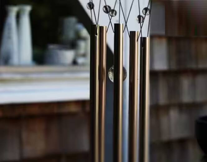 વાસ્તુશાસ્ત્રમાં ઘરમાંથી નકારાત્મક ઉર્જા દૂર કરવા માટે ઘણા ઉપાયો સૂચવવામાં આવ્યા છે. કેટલીક સરળ વાસ્તુ ટિપ્સનો ઉપયોગ કરીને તમે તમારા ઘરમાંથી નકારાત્મક ઊર્જાને હંમેશ માટે દૂર કરી શકો છો.