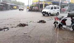 Gujarat Rain: હવામાન વિભાગની આગાહી વચ્ચે રાજ્યના 91 તાલુકાઓમાં વરસાદ, જાણો સૌથી વધુ ક્યાં વરસ્યો 