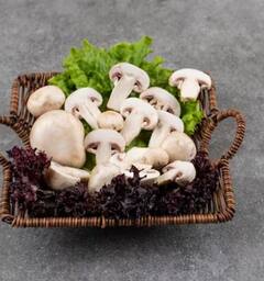 Health News: ਯੂਰਿਕ ਐਸਿਡ ਨੂੰ ਤੇਜ਼ੀ ਨਾਲ ਘਟਾਉਂਦੀਆਂ ਇਹ ਸਬਜ਼ੀਆਂ, ਇੰਝ ਕਰੋ ਡਾਈਟ 'ਚ ਸ਼ਾਮਿਲ