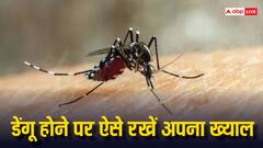 डेंगू होने के बाद क्या करना चाहिए, क्या नहीं, एक्सपर्ट्स से जानें
