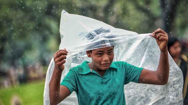 Rajasthan Monsoon Jaipur Rain Continues Weather Department Predicts Heavy Rain ANN Rajasthan Monsoon: राजस्थान के मालपुरा में सबसे ज्यादा 176 मिलीमीटर बारिश, अगले हफ्ते कैसा रहेगा मौसम?