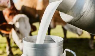 मोठी बातमी! गोकुळनं केली दुधाच्या दरात वाढ, मुंबईसह पुणेकरांना फटका, नेमकी किती झाली वाढ?