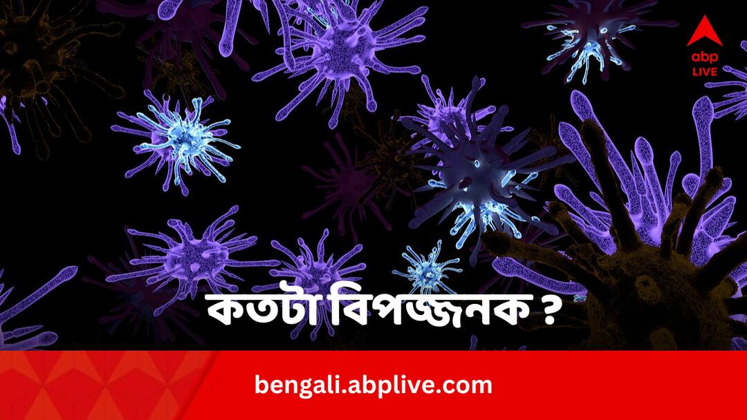 Brain Eating Amoeba Death In Kerala How Fatal The Amoeba All You Need To Know Brain Eating Amoeba: ৩ মাসে ৩ মৃত্যু, কতটা বিপজ্জনক হতে পারে মস্তিষ্কখেকো অ্যামিবা ?