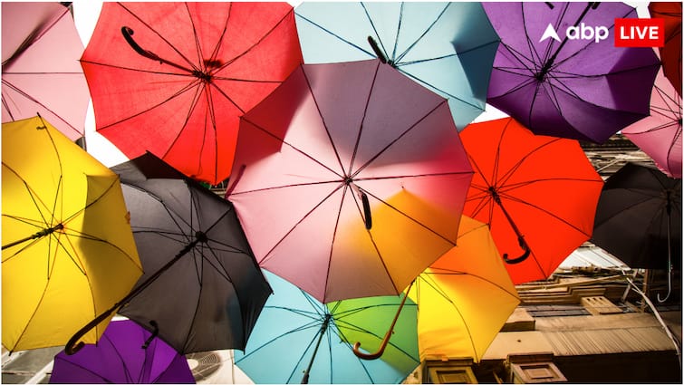 Umbrella Cover Day Portland has a museum of umbrella covers Guinness World Record Umbrella Cover Day: छातों के कवर का भी है म्यूजियम, गिनीज वर्ल्ड रिकॉर्ड में दर्ज है नाम