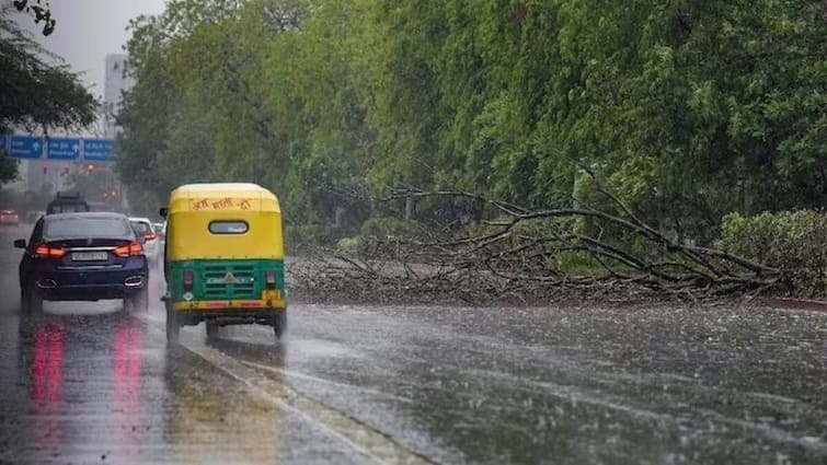 Weather Update there will be heavy rain in punjab from 5 to 11 July alert issued Weather Update: ਪੰਜਾਬੀਆਂ ਹੋ ਜਾਓ ਤਿਆਰ! 5 ਤੋਂ 11 ਜੁਲਾਈ ਤੱਕ ਹੋਏਗਾ ਜਲਥਲ, ਅਲਰਟ ਜਾਰੀ