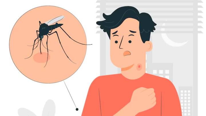 डेंगू बुखार के कारण सिर दर्द और पेट में दर्द होने लगता है. डेंगू के मरीज थकान और उल्टी की दिक्कत हो सकती है. मरीज का प्लेटलेट्स अचानक से गिरने लगता है.
