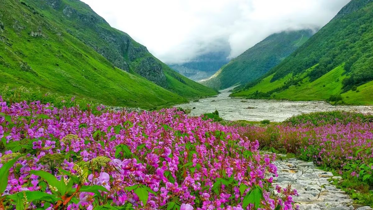 Monsoon Travel : पावसाळ्यात ट्रेकिंगची खरी मजा अनुभवा, पण सांभाळून! भारतातील 'ही' ठिकाणं मानली जातात सुरक्षित