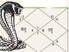 Kaal Sarp Dosh Upay: સતાવી રહ્યો છે કાલસર્પ દોષ, તો ઉપાય માટે જરુર કરો આ કામ 