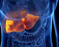 Health: ਲੀਵਰ ਕੈਂਸਰ ਦੇ ਸ਼ੁਰੂਆਤੀ ਸਟੇਜ 'ਤੇ ਸਰੀਰ 'ਚ ਨਜ਼ਰ ਆਉਂਦੇ ਆਹ ਲੱਛਣ, ਭੁੱਲ ਕੇ ਵੀ ਨਾ ਕਰੋ ਨਜ਼ਰਅੰਦਾਜ਼