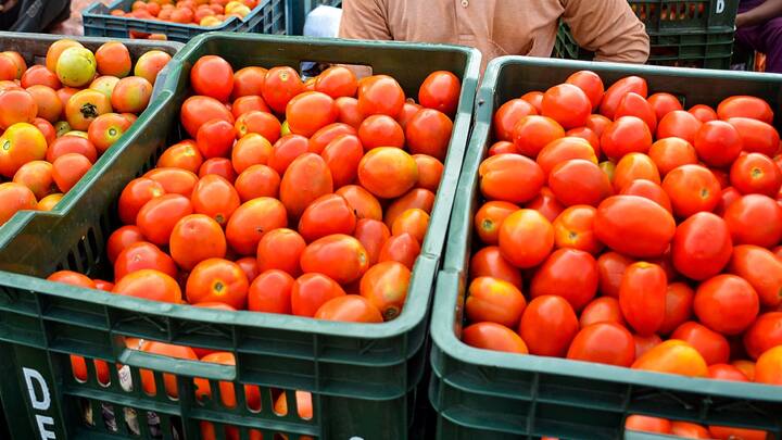 Tomatoes Price Hike: राष्ट्रीय राजधानी में टमाटर की खुदरा कीमतें बढ़कर 70-80 रुपये प्रति किलोग्राम तक पहुंच गई हैं. हाल में भीषण गर्मी पड़ने से आपूर्ति कम होने के कारण कीमतों में उछाल आया है.