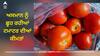 Tomato Prices: ਟਮਾਟਰ ਦੀਆਂ ਕੀਮਤਾਂ ਸੁਣ ਚਿਹਰੇ ਹੋਏ ਲਾਲ, ਬਾਰਿਸ਼ ਕਰਕੇ 80 ਰੁਪਏ ਕਿਲੋ ਪਹੁੰਚਿਆ ਭਾਅ