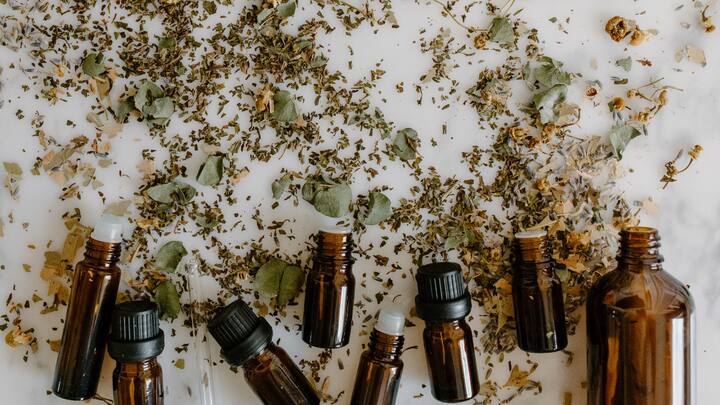 These days, individuals have discovered that essential oils could be used as natural remedies for some ailments. Many ingredients like lavender and chamomile are very effective for relaxation and improve sleep quality. Peppermint is also beneficial to help in reloading our senses, hence retracing the concentration of our focus, similarly to the lemongrass. Ylang-ylang and jasmine have been used and noted to aid in decreasing stress among people. (Image Source: Canva)