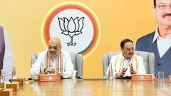 झारखंड में BJP का बड़ा फैसला, इस नेता को बनाया प्रभारी