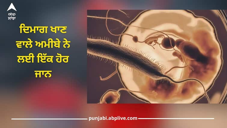 What is Brain Eating Amoeba, Brain-eating amoeba claims another life in Kerala, know how to avoid it Health News: ਭਾਰਤ ਦੇ ਇਸ ਸੂਬੇ 'ਚ ਦਿਮਾਗ ਖਾਣ ਵਾਲੇ ਅਮੀਬੇ ਨੇ ਲਈ ਇੱਕ ਹੋਰ ਜਾਨ, ਲੋਕਾਂ ਦੇ ਵਿੱਚ ਖੌਫ਼, ਜਾਣੋ ਇਸ ਤੋਂ ਕਿਵੇਂ ਬਚੀਏ