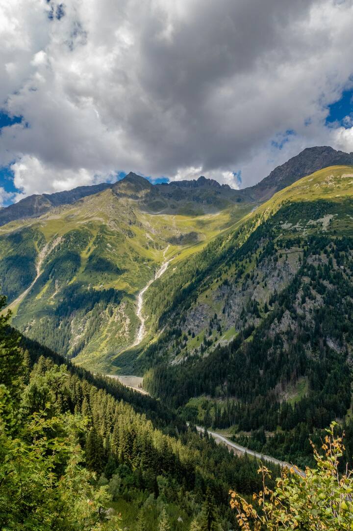 सुंदरबन राष्ट्रीय उद्यान- अपने मैंग्रोव वनों के लिए जाना जाने वाला सुंदरबन बंगाली टाइगर, मुहना और मगरमच्छ जैसे खतरनाक जानवरों का घर है. इसके अलावा भी यहां बेहद खतरनाक जानवर पाए जाते हैं.