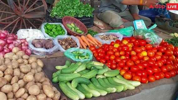 Vegetable Price Hike: मध्य प्रदेश में बारिश ने बढ़ाई सब्जियों की कीमत, आसमान छू रहे टमाटर-धनिया के दाम Vegetable Price Hike: मध्य प्रदेश में बारिश ने बढ़ाई सब्जियों की कीमत, आसमान छू रहे टमाटर-धनिया के दाम