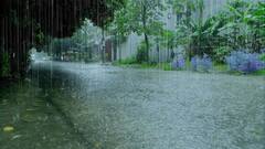 Weather Update: ਪੰਜਾਬ 'ਚ ਜਲਥਲ, ਇੰਨਾਂ ਇਲਾਕਿਆਂ ਵਿੱਚ ਅਲਰਟ ਜਾਰੀ