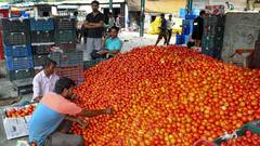 दिल्ली में टमाटर की कीमतें सुन लोगों का चेहरा क्यों हो जाता है लाल? वजह जान चौंक जाएंगे