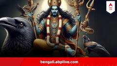 শনির বক্রীতে তৈরি শশ রাজযোগ, রাজার মতোই ভাগ্য খুলে যাবে এই ৩ রাশির