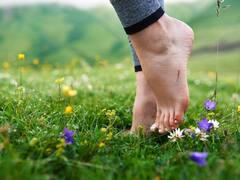 ਸਵੇਰ ਦੀ ਸੈਰ ਕਰਨ ਦੇ ਨਾਲ-ਨਾਲ ਕਰੋ ਇਹ ਕੰਮ, ਘੱਟ ਹੋਵੇਗਾ ਤਨਾਅ ਅਤੇ ਥਕਾਵਟ