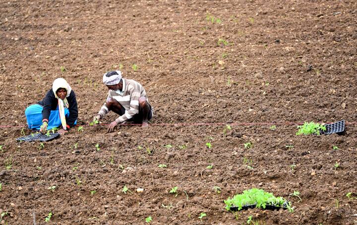 मुख्यमंत्री ने कहा कि प्रधानमंत्री नरेंद्र मोदी ने गरीब के घर में भी गैस चूल्हा होने के सपने को साकार किया है, जबकि प्रधानमंत्री किसान कल्याण योजना की तरह ही मध्यप्रदेश में मुख्यमंत्री किसान कल्याण योजना का क्रियान्वयन किया जा रहा है. जितनी राशि केंद्र सरकार की ओर से किसानों के खाते में साल भर में डालती है, उतनी ही राशि मध्य प्रदेश सरकार भी किसानों के खाते में डालती है.