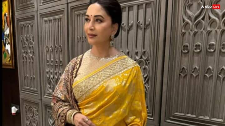 Saree Collection: शादी या किसी फंक्शन में अधिकतर महिलाएं साड़ी को लेकर कंफ्यूज रहती हैं. लेकिन अब आप ये माधुरी दीक्षित की कुछ साड़ियों को कैरी कर सकती हैं.