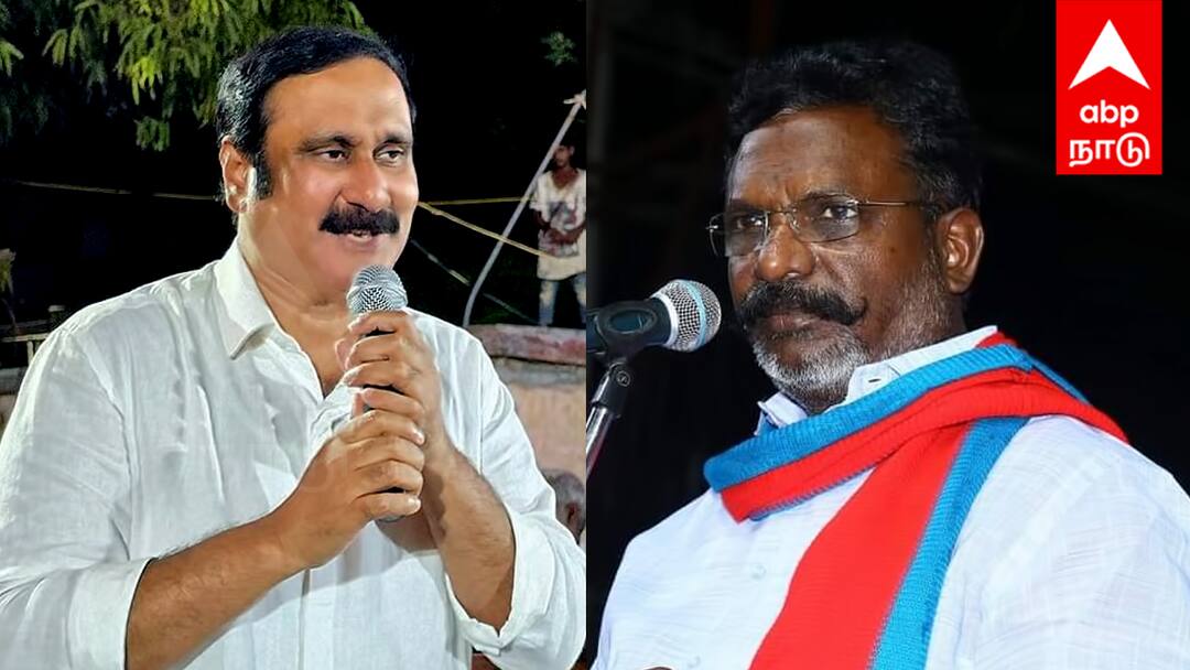 திருமாவளவன் தேர்தலுக்காக எதை எதையோ பேசி வருகிறார் - பாமக தலைவர் அன்புமணி