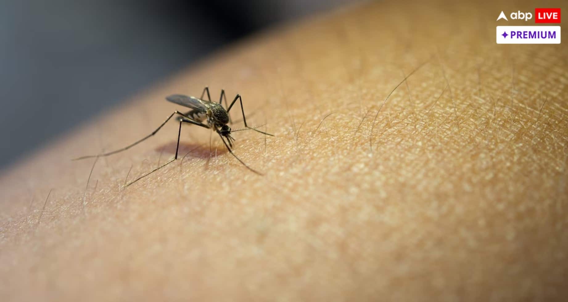 ઝીકા વાયરસ: ભારત ચેપી રોગોની રોકથામ માટે કેટલું તૈયાર છે?