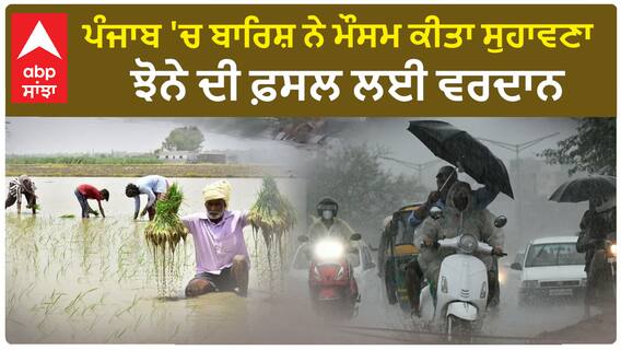 Punjab Weather | ਪੰਜਾਬ 'ਚ ਬਾਰਿਸ਼ ਨੇ ਮੌਸਮ ਕੀਤਾ ਸੁਹਾਵਣਾ - ਝੋਨੇ ਦੀ ਫ਼ਸਲ ਲਈ ਵਰਦਾਨ | Rainy day