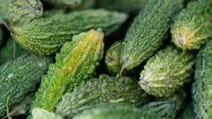 Monsoon Diet: বর্ষায় কমে শরীরের রোগ প্রতিরোধ ক্ষমতা, সংক্রমণ-অসুখ রুখতে পাতে কী কী খাবার রাখবেন?