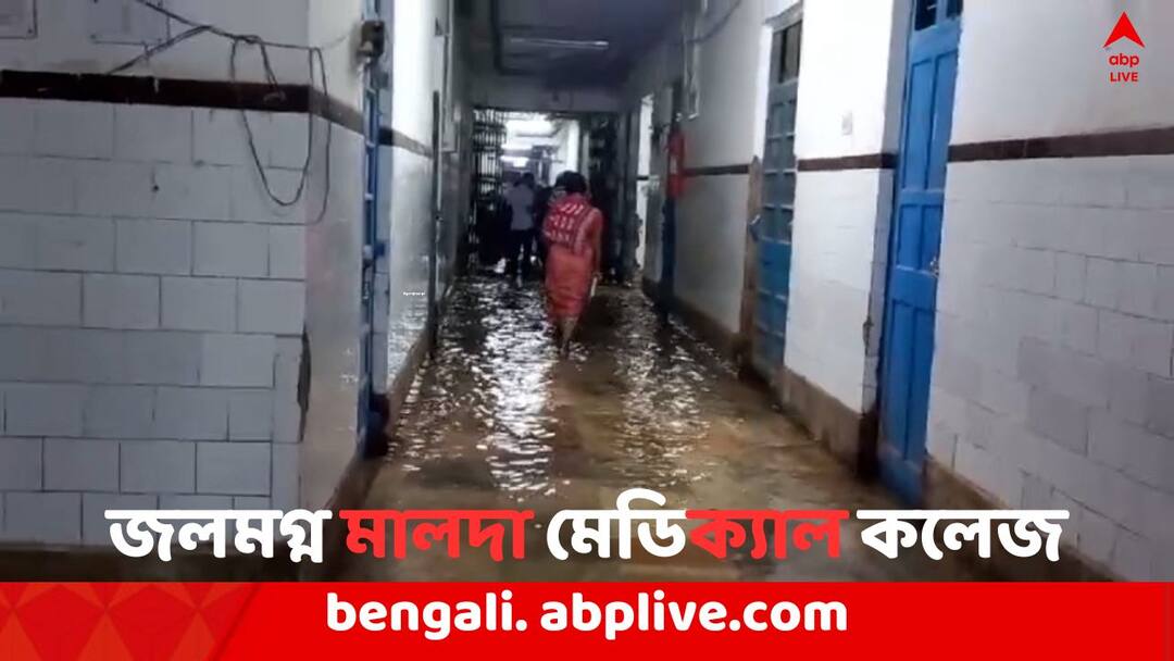Due to heavy rain waterlogged in Malda Medical college Malda News: প্রবল বৃষ্টির জের, জলমগ্ন মালদা মেডিক্যাল কলেজ