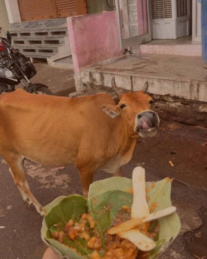 ओरछा से इन तस्वीरों को शेयर करते हुए कार्तिक ने एक मजेदार कैप्शन भी लिखा, उन्होंने लिखा कि ‘जस्ट चाटिंग’