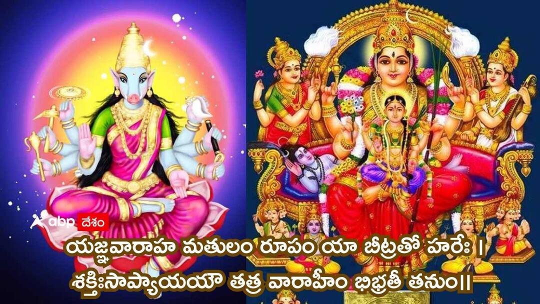 Varahi Navaratri Significance : ఆషాఢ గుప్త నవరాత్రులు - వారాహీ దేవిని ఎవరు పూజించాలి..ఎవరు పూజించకూడదు! Ashadha Gupta Navratri 2024 Who Should Worship Varahi Devi Who Should Not Varahi Navaratri Significance and Dates know in details Varahi Navaratri Significance : ఆషాఢ గుప్త నవరాత్రులు - వారాహీ దేవిని ఎవరు పూజించాలి..ఎవరు పూజించకూడదు!