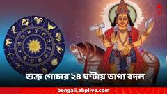 Daily Horoscope: ২৪ ঘণ্টায় বদলাবে ভাগ্য! অঢেল সম্পদ-সুনাম অর্জন, কপালে সোনার চমক