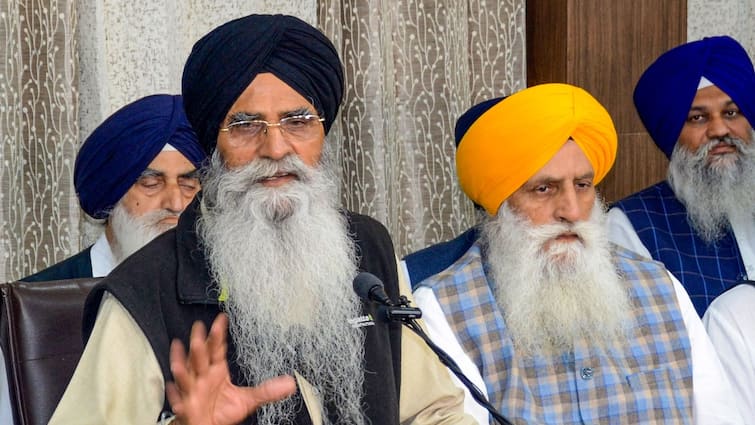 Sikh Apex Physique SGPC’s Chief Bats For MP Amritpal Singh’s Launch, Asks Govt To ‘Respect’ Folks