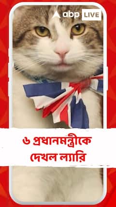 বার বার কুর্সি বদল, ৬ প্রধানমন্ত্রীকে দেখল ল্যারি