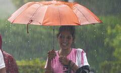 एमपी के श्योपुर में बीते 24 घंटे में रिकॉर्ड बारिश, घरों में पानी भरने से छतों पर कटी रात