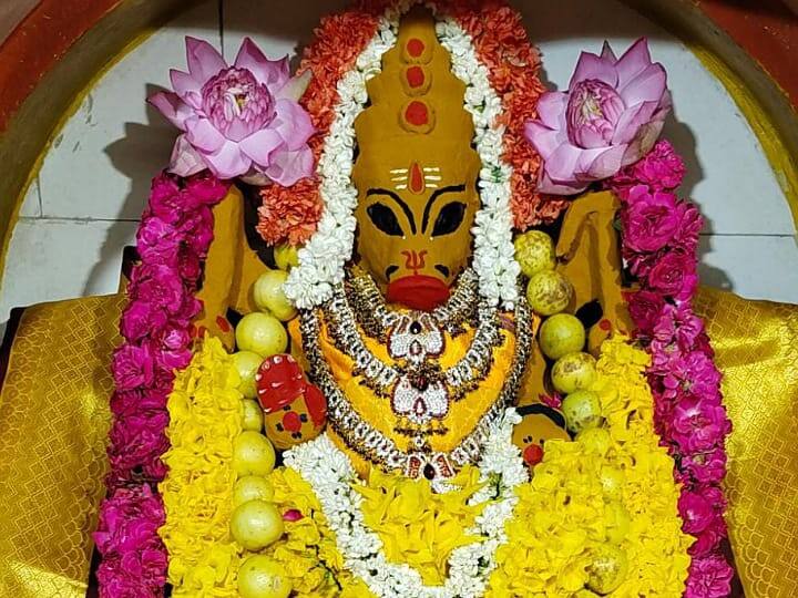 ஆனி மாத ஆஷாட ஏகாதசி;  சிறப்பு அலங்காரத்தில் காட்சியளித்த ஸ்ரீ வாராஹி அம்மன்