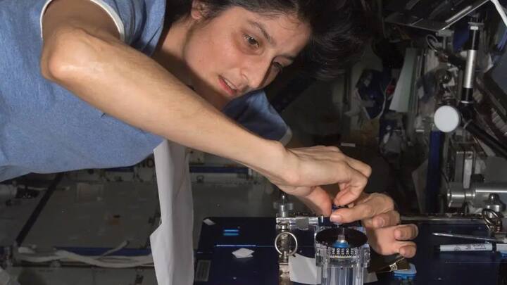 जिसमें सुनीता विलियम्स स्पेसक्राफ्ट की पायलट हैं और बुश विलमोर मिशन कमांडर हैं. सुनीता विलियम्य और बुश ने ये सफर महज 25 घंटे में पूरा किया.