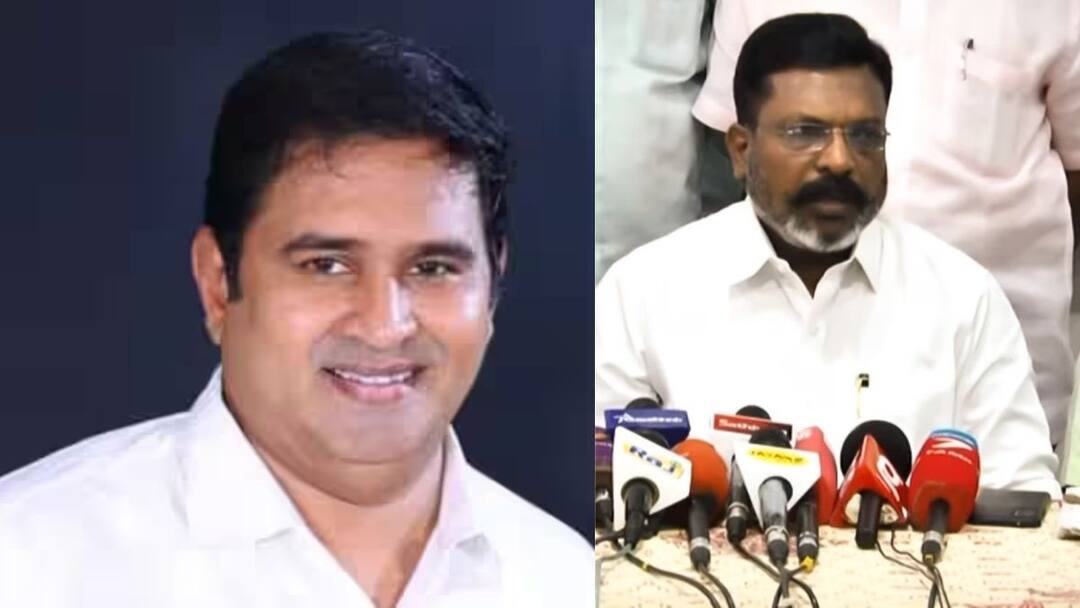 Thiruma On Armstrong Murder: ஆம்ஸ்ட்ராங் படுகொலை, “சரணடைந்தவர்கள் உண்மையான கொலையாளிகள் அல்ல - திருமாவளவன் அதிரடி