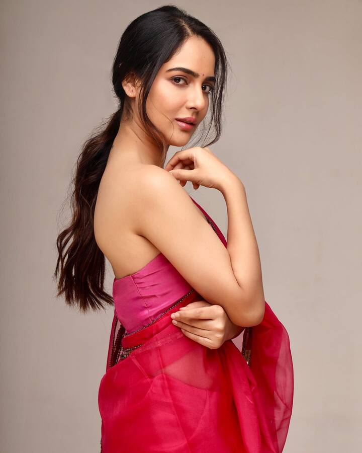 అటు తనను అనవసర వివాదంలోకి లాగిన లావణ్యపై పరువు నష్టం దావా వేయాలని మాల్వి మల్హోత్రా భావిస్తున్నట్లు తెలుస్తోంది. Photo Credit: MALVI MALHOTRA/Instagram