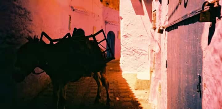 ਪਾਕਿਸਤਾਨ ਸਰਕਾਰ ਨੇ ਆਪਣੇ ਦੇਸ਼ ਵਿੱਚ ਗਧਿਆਂ ਦੀ ਵਧਦੀ ਗਿਣਤੀ ਬਾਰੇ ਜਾਣਕਾਰੀ ਦਿੱਤੀ ਹੈ। ਪਾਕਿਸਤਾਨ ਸਰਕਾਰ ਨੇ ਦੇਸ਼ ਦਾ ਆਰਥਿਕ ਸਰਵੇਖਣ ਪੇਸ਼ ਕਰਨ ਤੋਂ ਬਾਅਦ ਕਿਹਾ ਸੀ ਕਿ ਦੇਸ਼ ਵਿੱਚ ਇੱਕ ਸਾਲ ਵਿੱਚ ਗਧਿਆਂ ਦੀ ਗਿਣਤੀ 1.72% ਵਧ ਕੇ 59 ਲੱਖ ਹੋ ਗਈ ਹੈ।