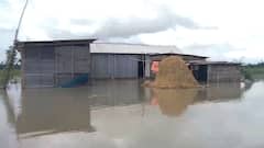 Assam Flood Situation: ফুঁসছে ব্রহ্মপুত্র, বন্যায় বিপর্যস্ত অসম, প্রাণহানি অব্যাহত, নষ্ট বিঘের পর বিঘে কৃষিজমি