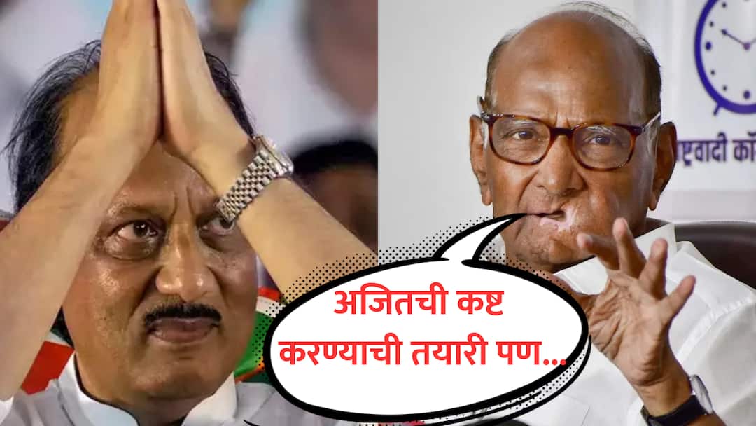 Sharad Pawar : अजितची कष्ट करण्याची तयारी, मोठं मन दाखवून पवारांनी सांगितली अजितदादांची वैशिष्टे, पण 'हे' खटकतं sharad pawar interview on ajit pawar devendra fadanvis ncp crisis lok sabha vidhan sabha election results maharashtra politics marathi Sharad Pawar : अजितची कष्ट करण्याची तयारी, मोठं मन दाखवून पवारांनी सांगितली अजितदादांची वैशिष्टे, पण 'हे' खटकतं