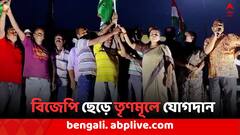 লোকসভা ভোটে হারের ফল, ধনিয়াখালিতে বিজেপি ছেড়ে তৃণমূলে একাধিক নেতা