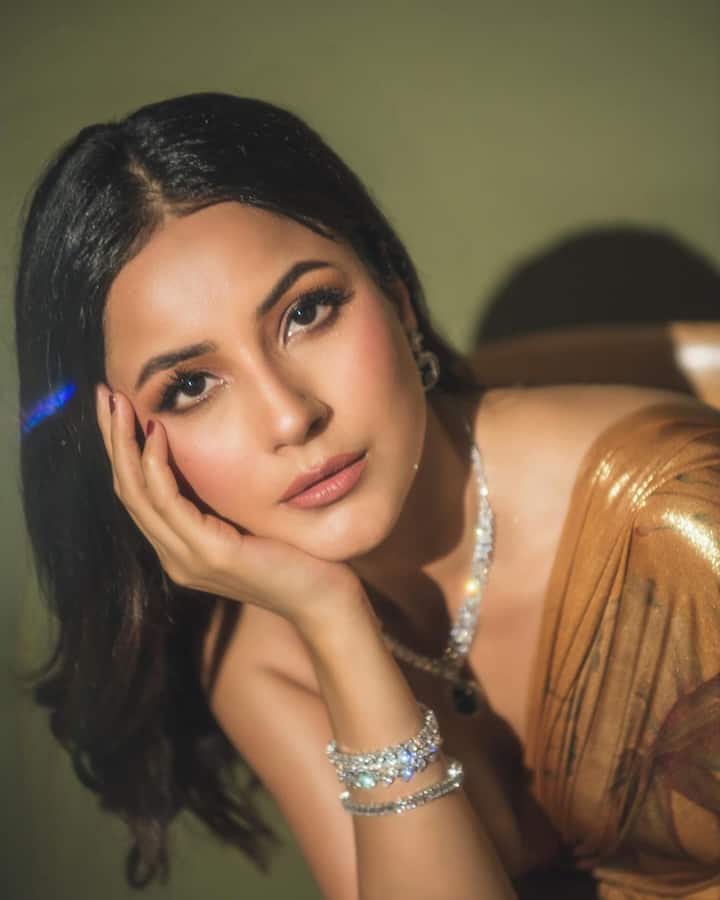Shehnaaz also opted a nude makeup look