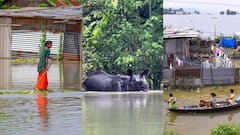 Assam Flood Situation: ফুঁসছে ব্রহ্মপুত্র, বন্যায় বিপর্যস্ত অসম, প্রাণহানি অব্যাহত, নষ্ট বিঘের পর বিঘে কৃষিজমি