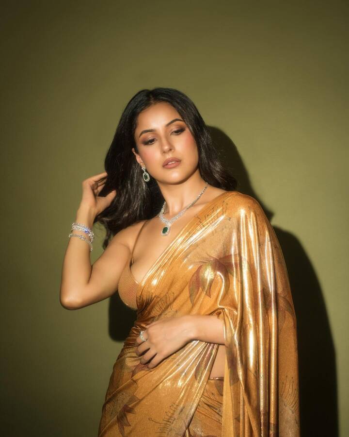 Shehnaaz accessorised with a green emerald necklace and earrings